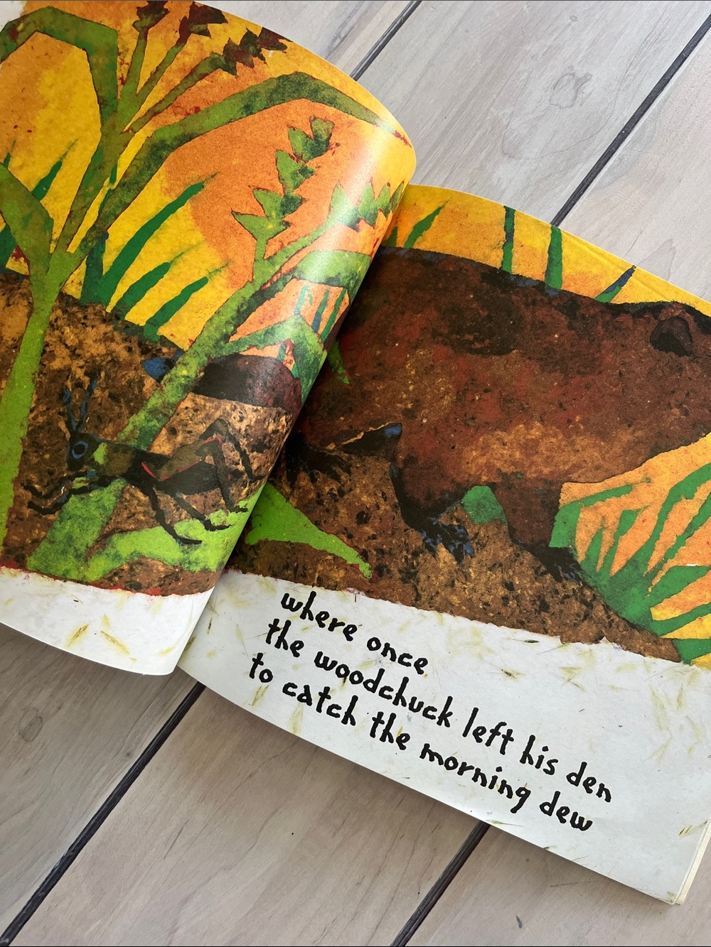 Children’s Book Bundle on Nature/Woods/Flowers - Picture 3 of 9